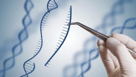 کاربردهای عملی مهندسی ژنتیک