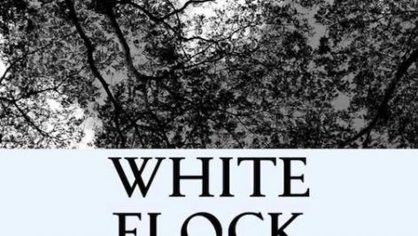 معرفی و دانلود مجموعه شعر فوج پرندگان سفید | White Flock