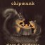 مجموعه داستان انگلیسی David Sedaris |Squirrel Seeks Chipmunk
