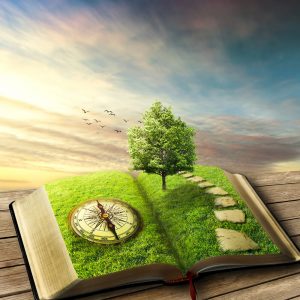 رمان های فانتزی (Fantasy fiction ) 