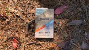 دانلود رمان انگلیسی Weather by Jenny Offill | رمان برتر 2020